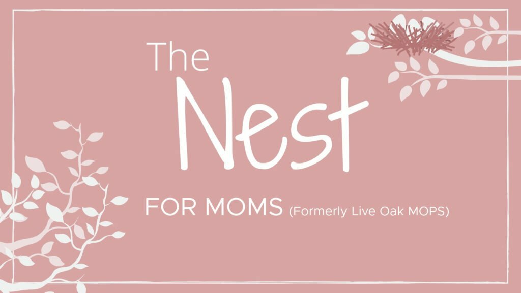 The Nest at Live Oak