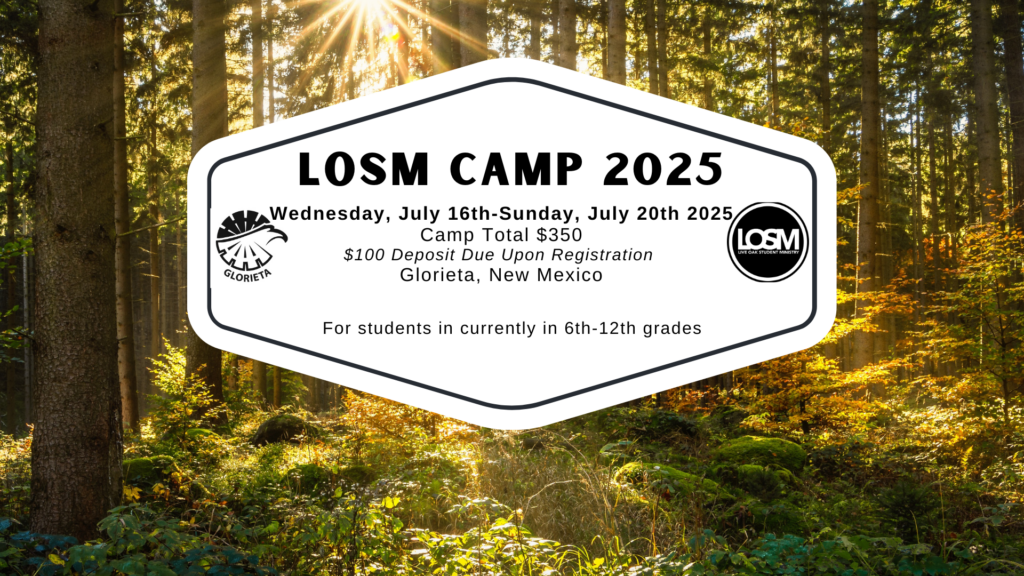 LOSM CAMP 2025