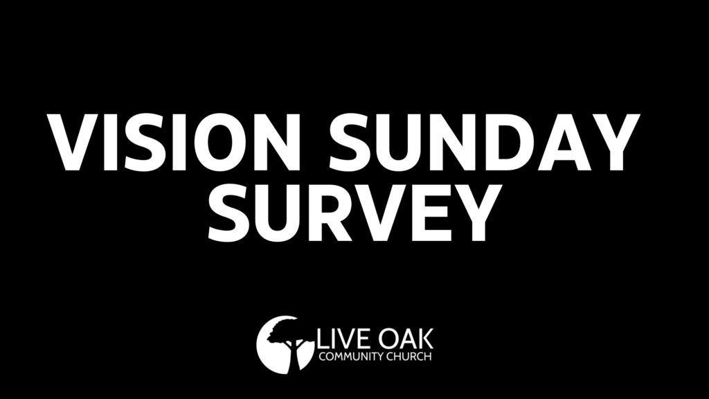 Vision Sunday Survey