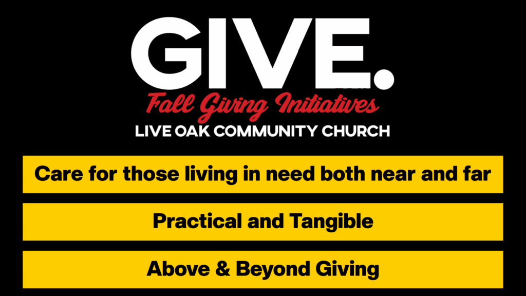 GIVE 2025 – Jump into our Fall Giving Initiatives!