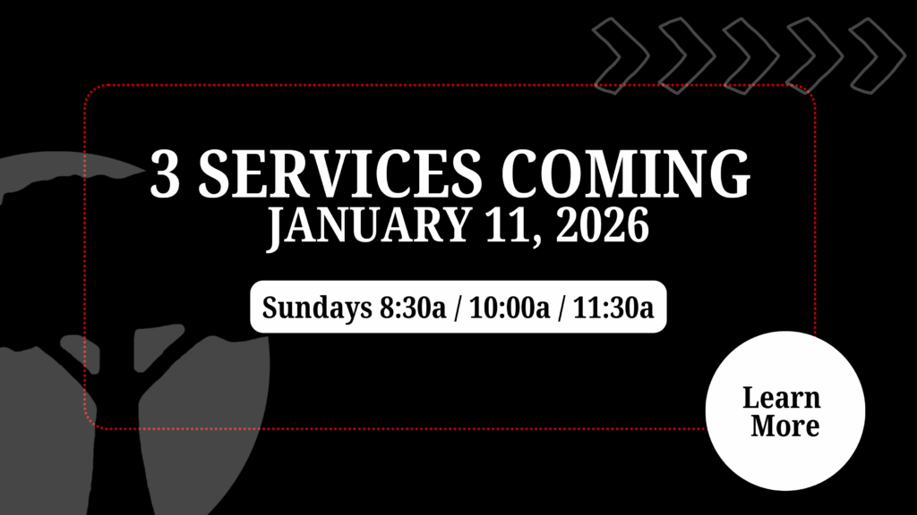 3 Services Coming January 2026…Learn More!