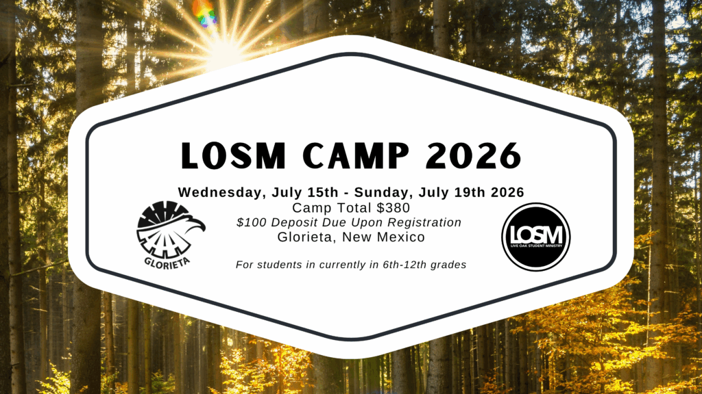 LOSM CAMP 2026