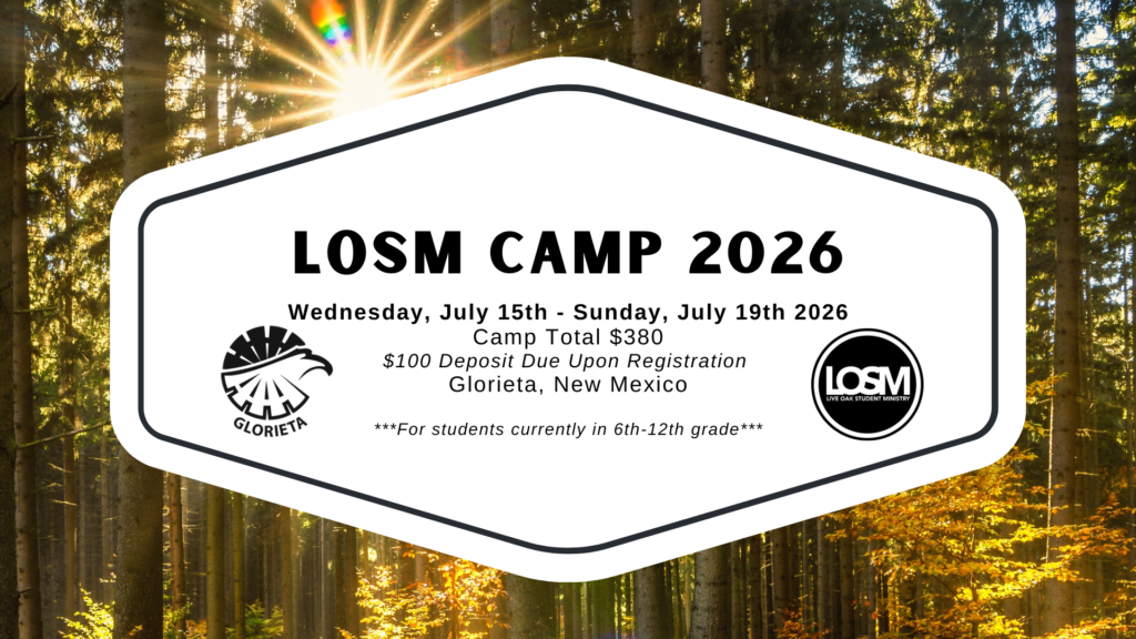 LOSM CAMP 2026