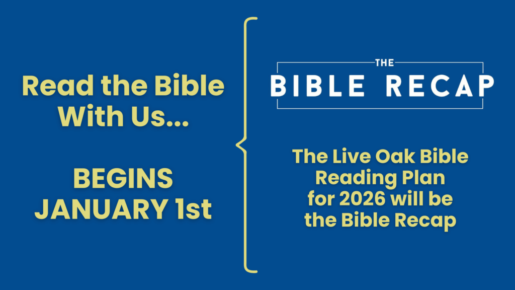 The Bible Recap Reading Plan