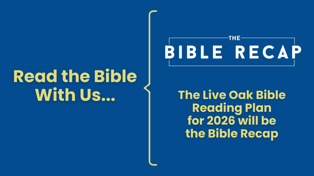 The Bible Recap Reading Plan