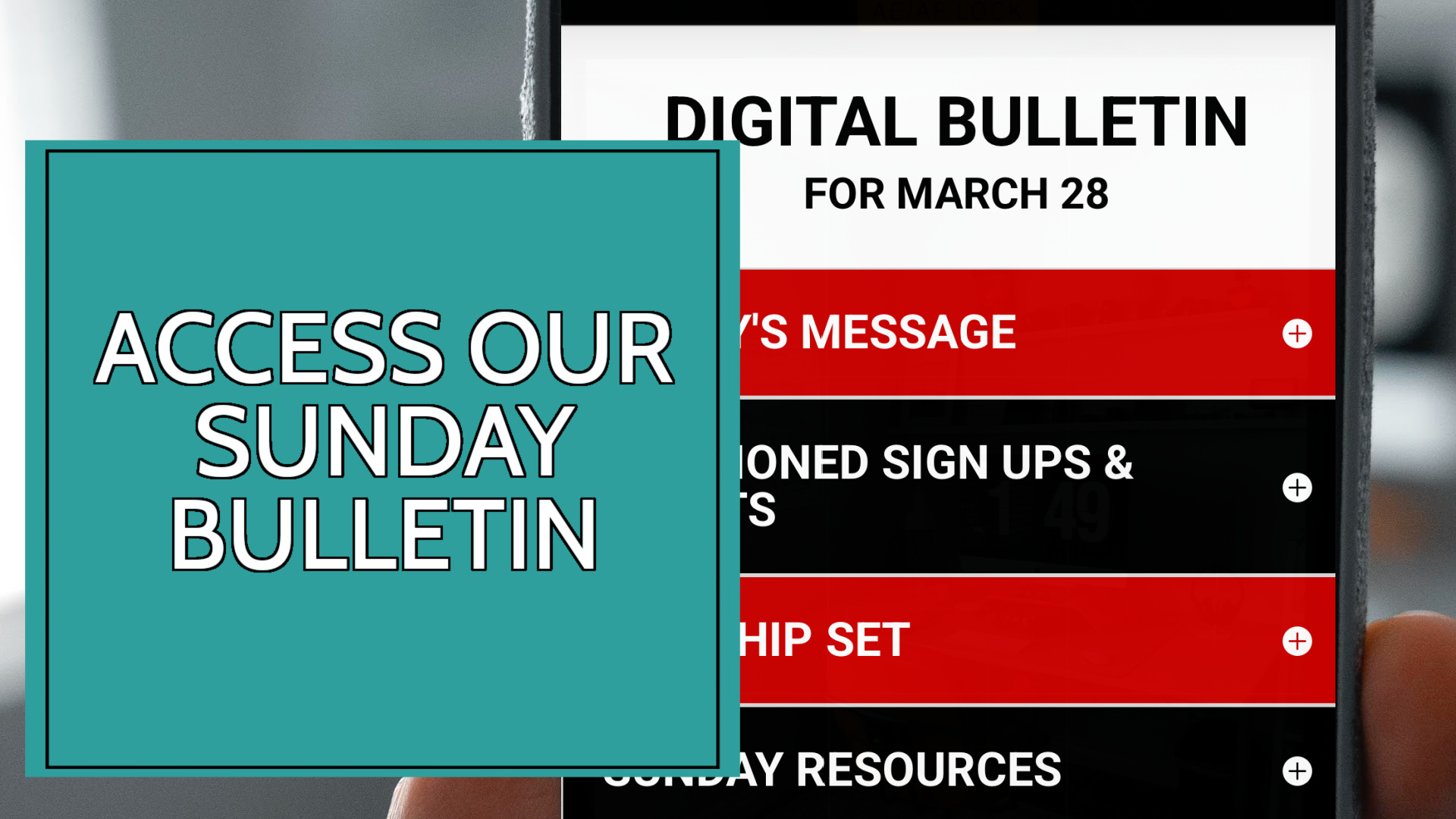 michael-soledad-VeEwaZrKBB0-unsplash.jpg copy 4